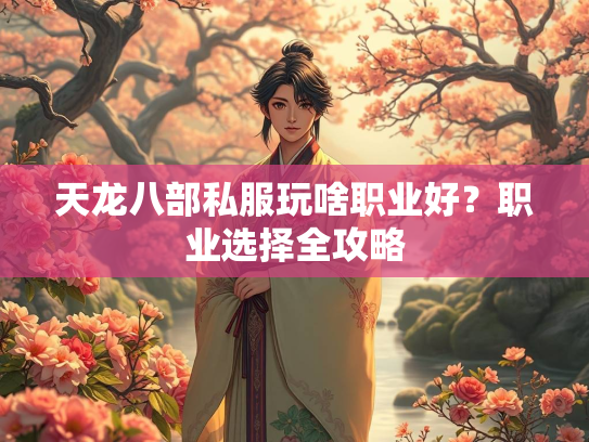 天龙八部私服玩啥职业好？职业选择全攻略