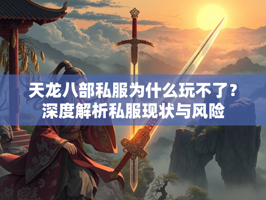 天龙八部私服为什么玩不了？深度解析私服现状与风险  第3张
