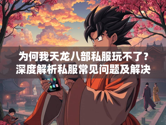 为何我天龙八部私服玩不了？深度解析私服常见问题及解决方案  第2张
