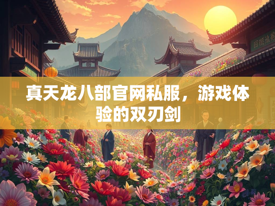 真天龙八部官网私服，游戏体验的双刃剑  第2张