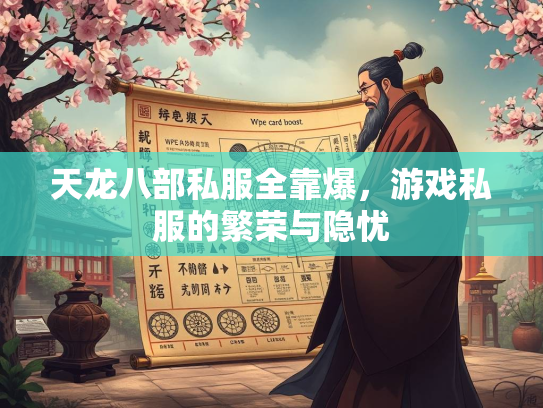 天龙八部私服全靠爆，游戏私服的繁荣与隐忧  第2张