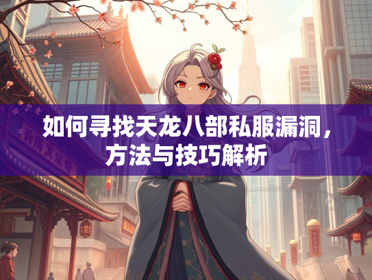 如何寻找天龙八部私服漏洞，方法与技巧解析