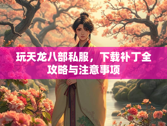 玩天龙八部私服，下载补丁全攻略与注意事项  第1张