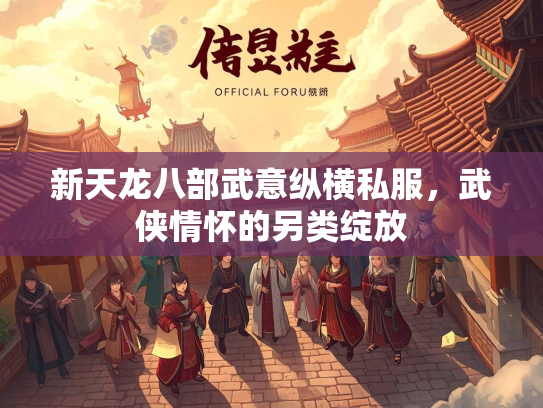 新天龙八部武意纵横私服，武侠情怀的另类绽放
