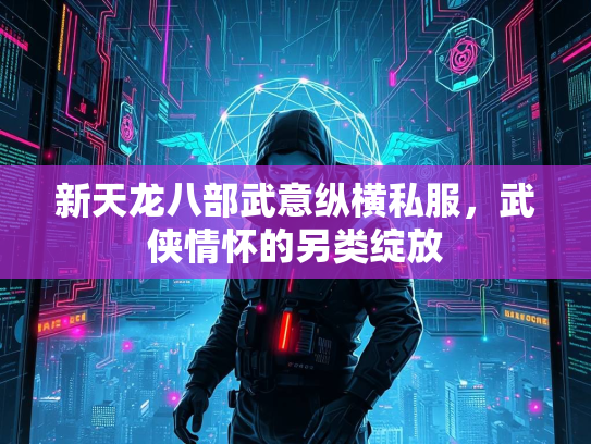 新天龙八部武意纵横私服，武侠情怀的另类绽放