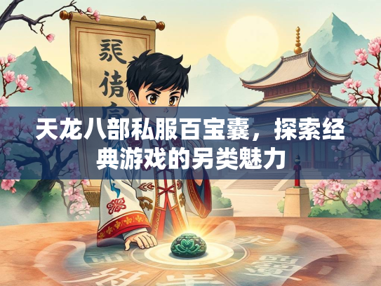天龙八部私服百宝囊，探索经典游戏的另类魅力