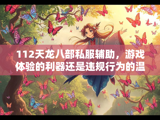112天龙八部私服辅助，游戏体验的利器还是违规行为的温床？  第2张