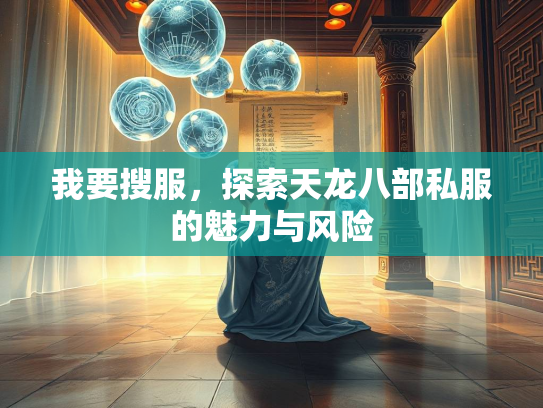 我要搜服，探索天龙八部私服的魅力与风险  第2张
