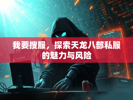 我要搜服，探索天龙八部私服的魅力与风险