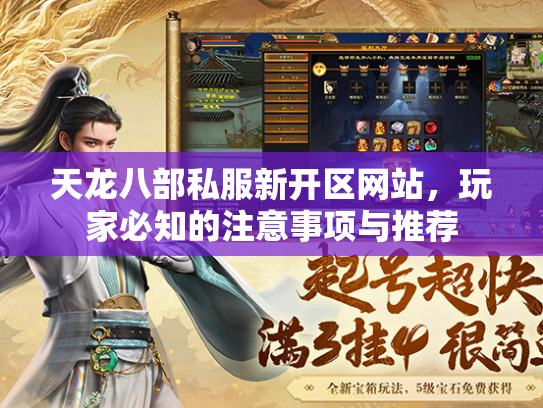 天龙八部私服新开区网站，玩家必知的注意事项与推荐