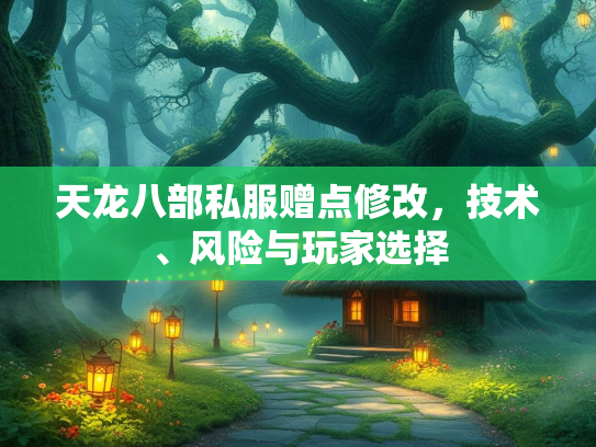 天龙八部私服赠点修改，技术、风险与玩家选择
