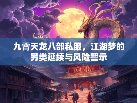 九霄天龙八部私服，江湖梦的另类延续与风险警示
