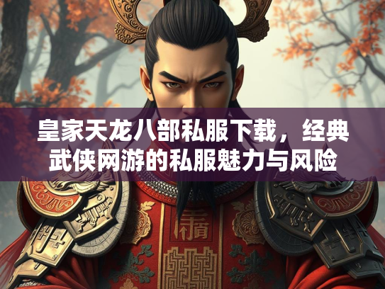皇家天龙八部私服下载，经典武侠网游的私服魅力与风险  第1张