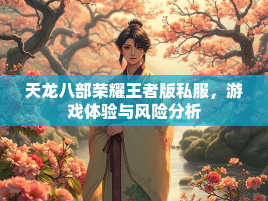 天龙八部荣耀王者版私服，游戏体验与风险分析