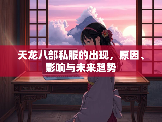 天龙八部私服的出现，原因、影响与未来趋势  第3张