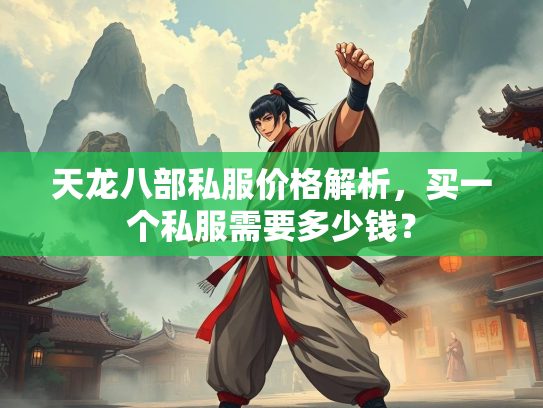 天龙八部私服价格解析，买一个私服需要多少钱？