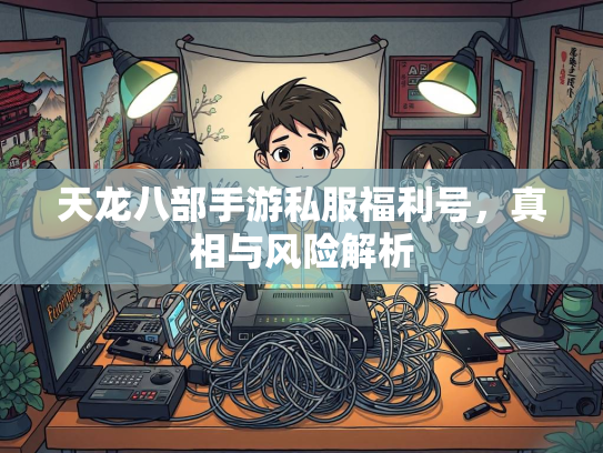 天龙八部手游私服福利号，真相与风险解析