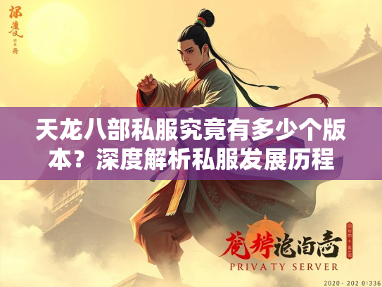 天龙八部私服究竟有多少个版本？深度解析私服发展历程
