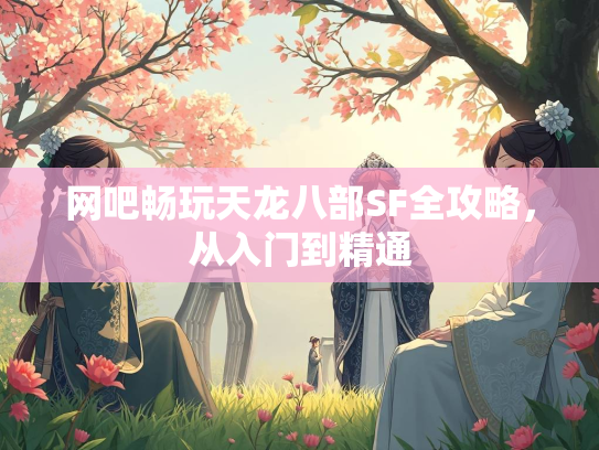 网吧畅玩天龙八部SF全攻略，从入门到精通  第3张