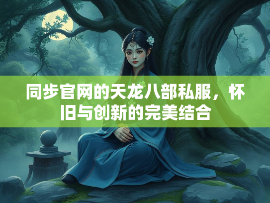同步官网的天龙八部私服，怀旧与创新的完美结合