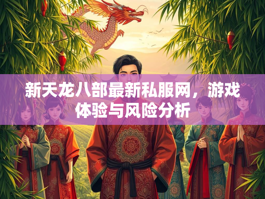新天龙八部最新私服网，游戏体验与风险分析