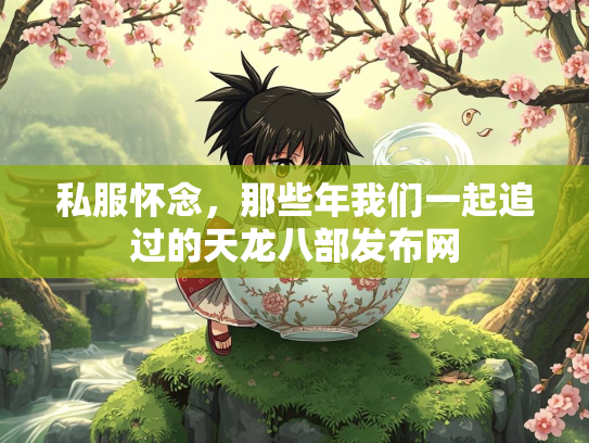 私服怀念，那些年我们一起追过的天龙八部发布网  第3张