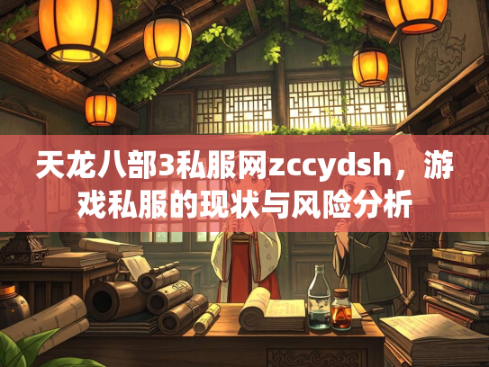 天龙八部3私服网zccydsh，游戏私服的现状与风险分析  第2张