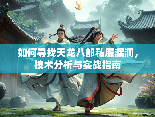 如何寻找天龙八部私服漏洞，技术分析与实战指南  第2张