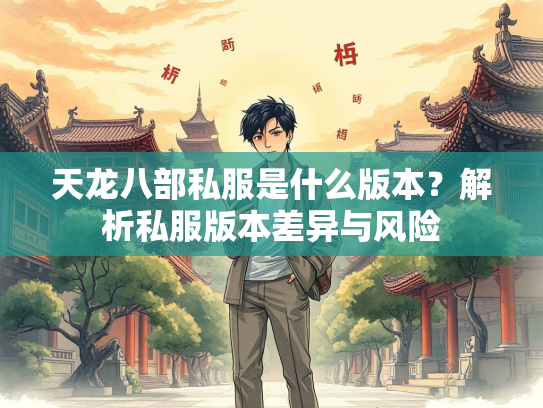 天龙八部私服是什么版本？解析私服版本差异与风险  第3张