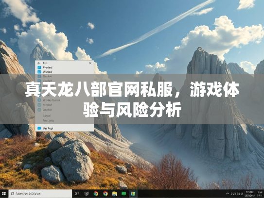 真天龙八部官网私服，游戏体验与风险分析
