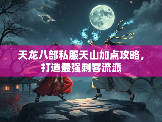 天龙八部私服天山加点攻略，打造最强刺客流派