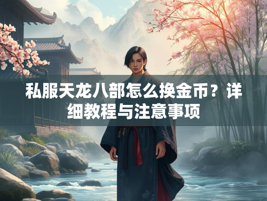 私服天龙八部怎么换金币？详细教程与注意事项  第2张