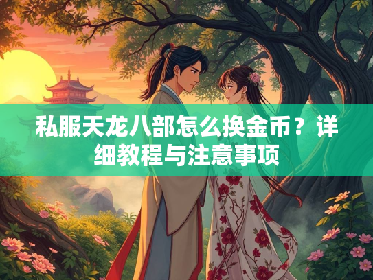 私服天龙八部怎么换金币？详细教程与注意事项  第3张