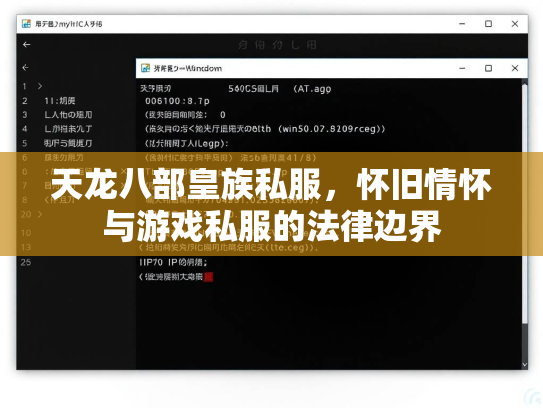 天龙八部皇族私服，怀旧情怀与游戏私服的法律边界  第1张