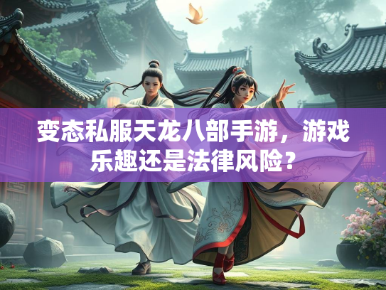 变态私服天龙八部手游，游戏乐趣还是法律风险？  第3张