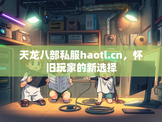 天龙八部私服haotl.cn，怀旧玩家的新选择