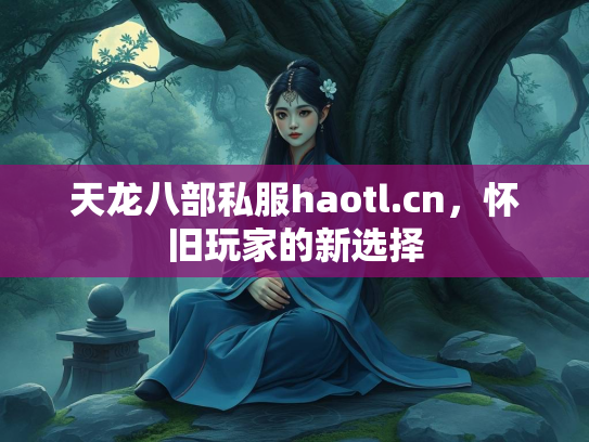 天龙八部私服haotl.cn，怀旧玩家的新选择