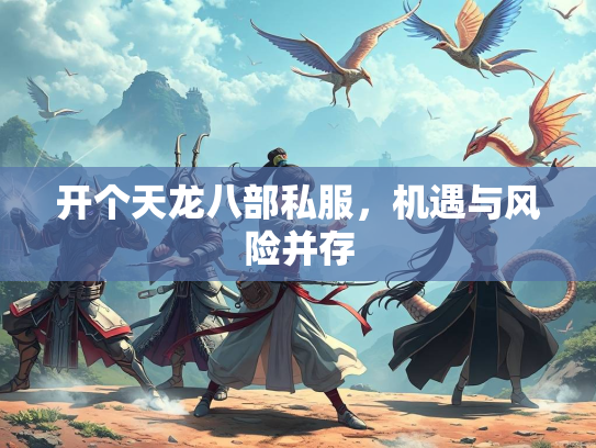 开个天龙八部私服，机遇与风险并存  第3张