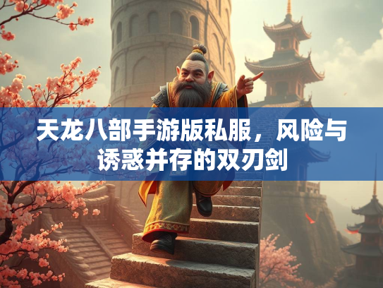 天龙八部手游版私服，风险与诱惑并存的双刃剑  第4张