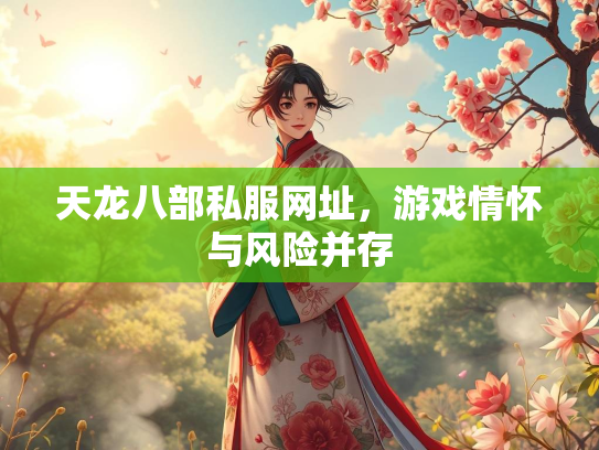 天龙八部私服网址，游戏情怀与风险并存  第3张