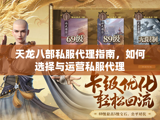 天龙八部私服代理指南，如何选择与运营私服代理  第4张