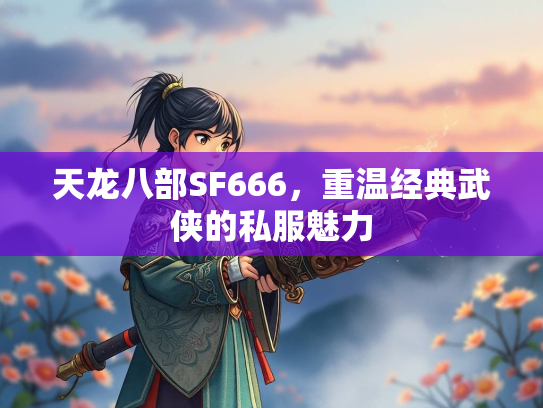 天龙八部SF666，重温经典武侠的私服魅力  第4张