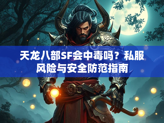 天龙八部SF会中毒吗？私服风险与安全防范指南  第3张