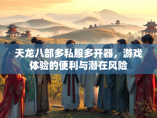 天龙八部多私服多开器，游戏体验的便利与潜在风险  第3张