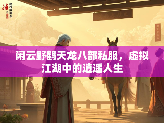 闲云野鹤天龙八部私服，虚拟江湖中的逍遥人生