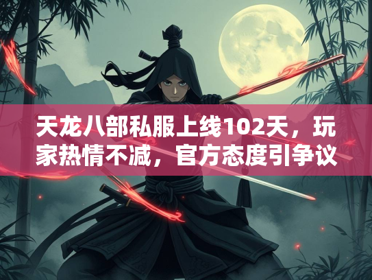 天龙八部私服上线102天，玩家热情不减，官方态度引争议  第4张