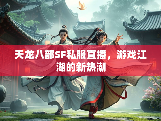 天龙八部SF私服直播，游戏江湖的新热潮  第2张
