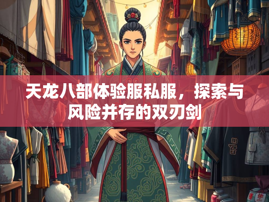 天龙八部体验服私服，探索与风险并存的双刃剑  第1张