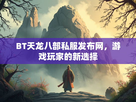 BT天龙八部私服发布网，游戏玩家的新选择