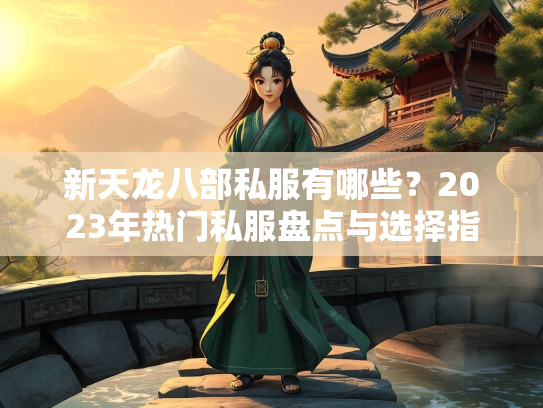 新天龙八部私服有哪些？2023年热门私服盘点与选择指南